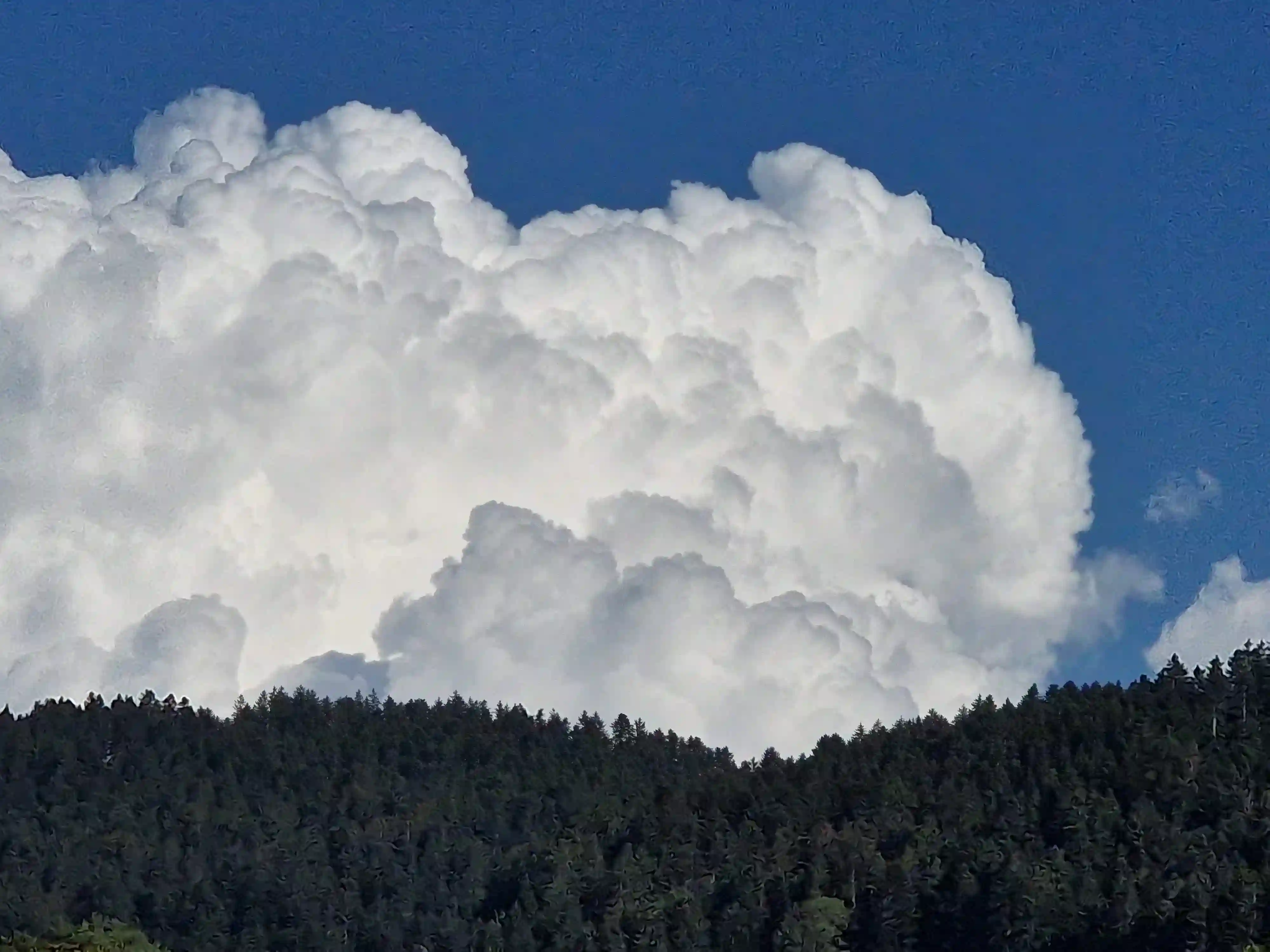 Grosse Wolke