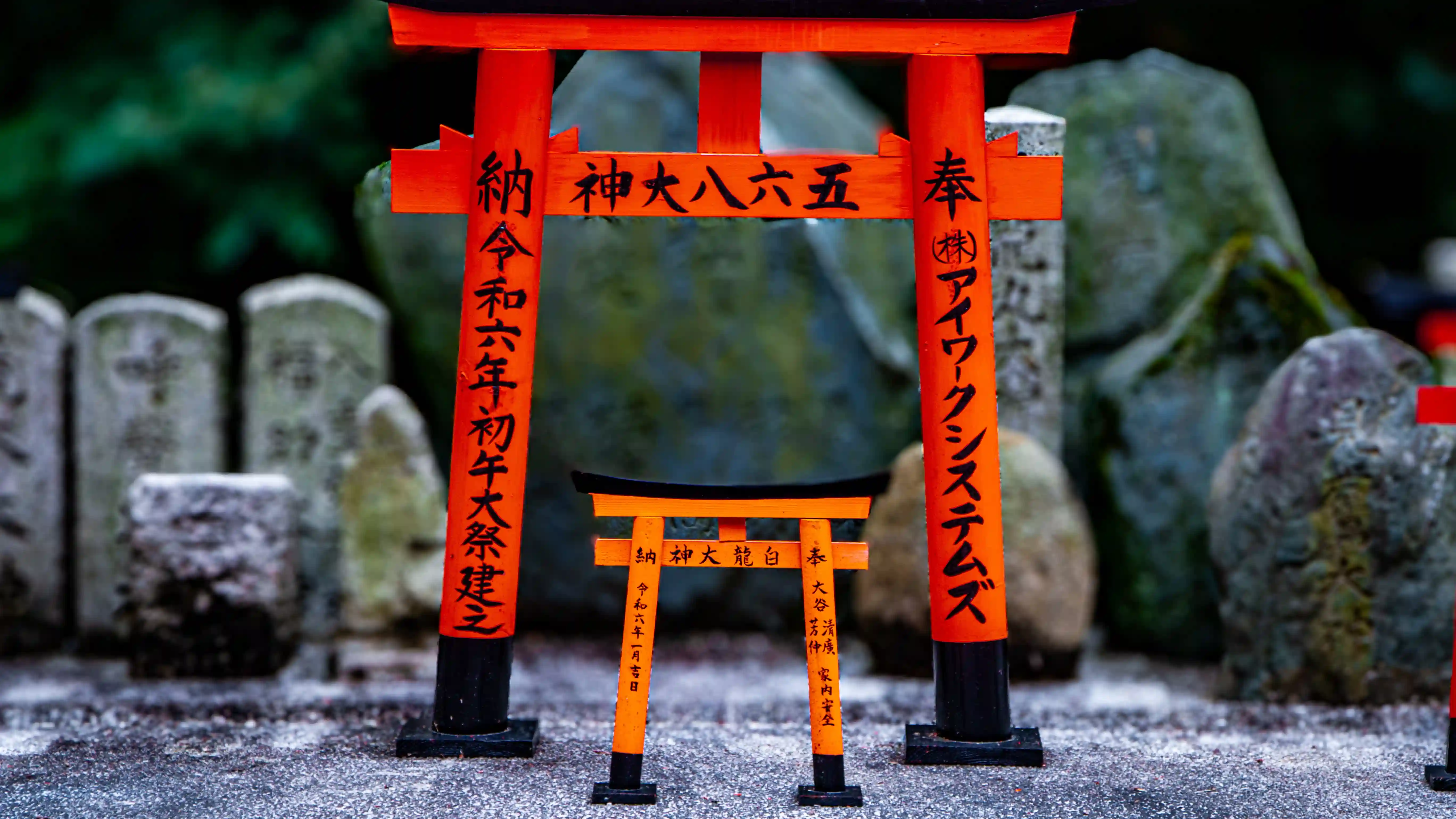 Torii im Torii