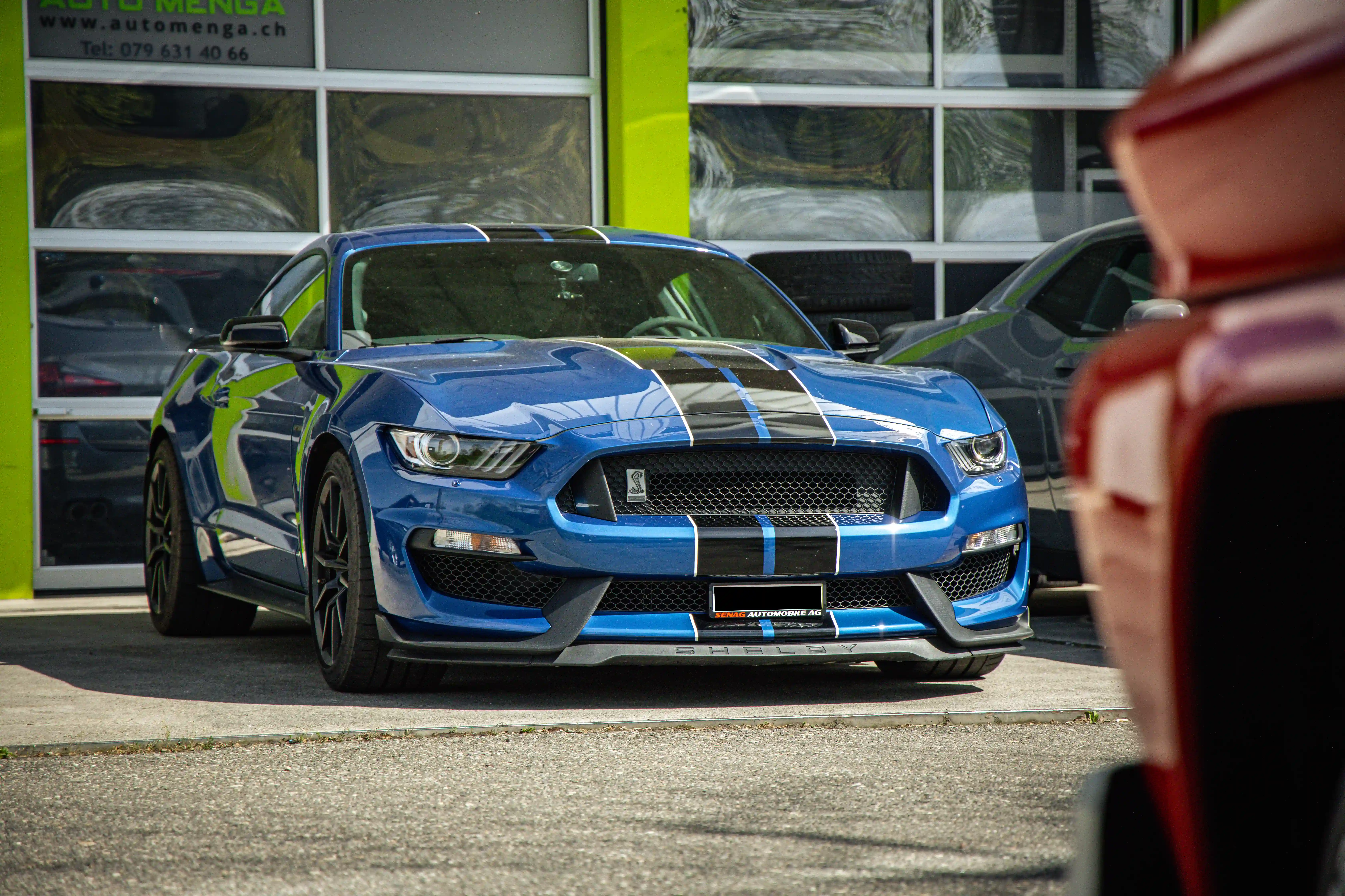 Blauer Shelby GT350